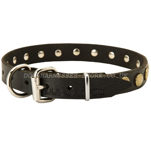 Thin Leather Dog Collars UK