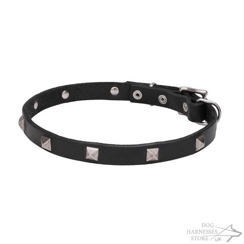 Thin Leather Dog Collar UK