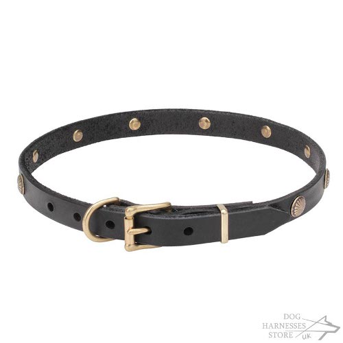 Thin Leather Dog Collars UK Decorated