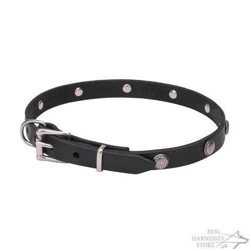 Thin Leather Dog Collars UK