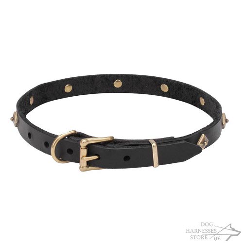 Thin Leather Dog Collars UK