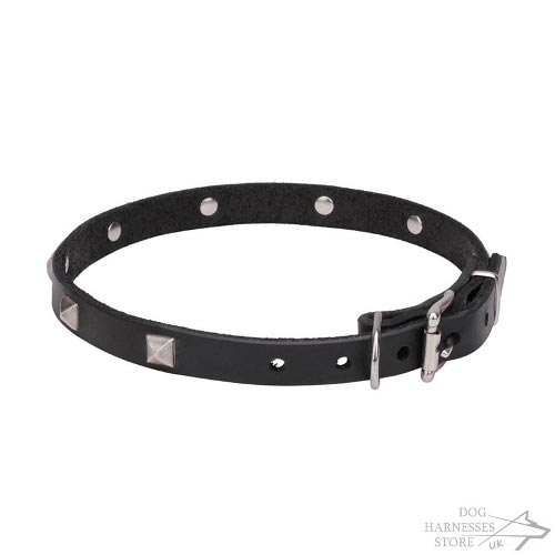Thin Leather Dog Collars UK Fashionable