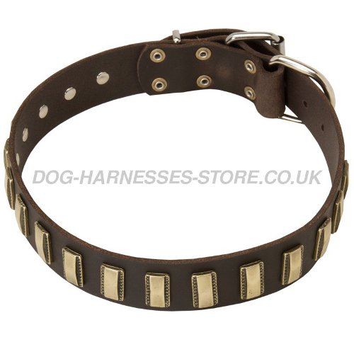 Trendy Dog Collars UK