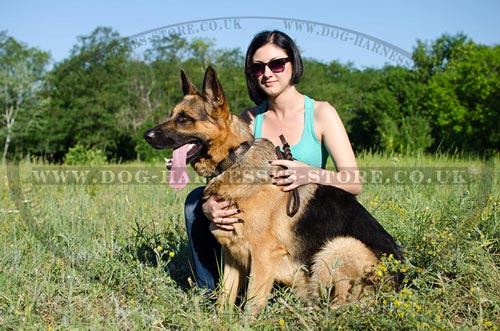 Buy German Shepherd Collars