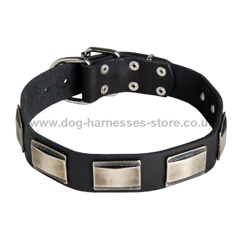 Unique Dog Collar