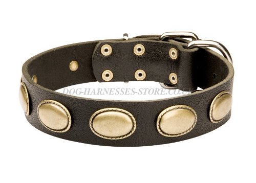 Vintage Dog Collar