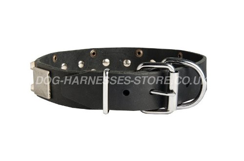 Vintage Style Dog Collar