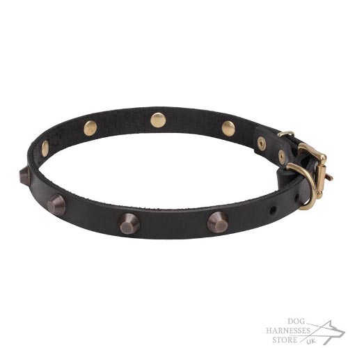 Walking Dog Collar UK