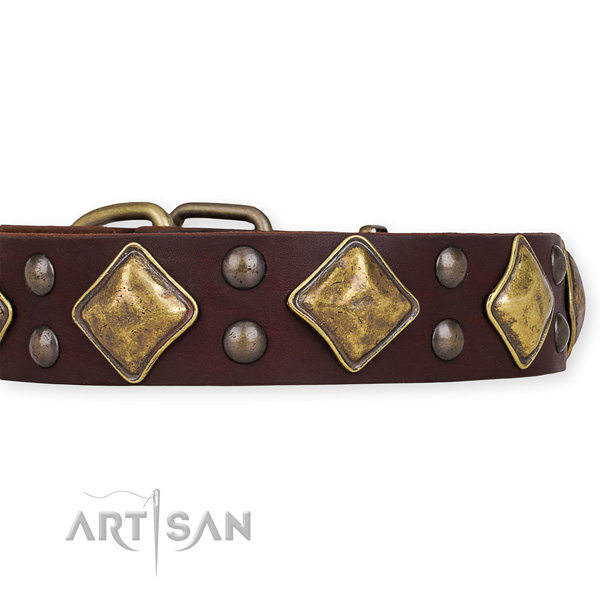 Wide Brown Leather Dog Collar