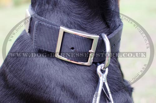 Wide Dog Collar