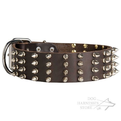 Wide Dog Collars UK