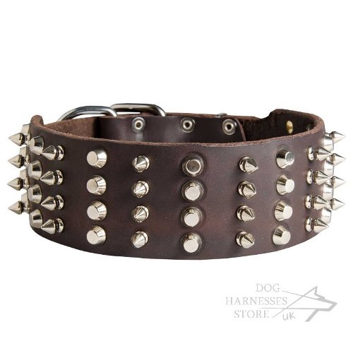 Wide Dog Collars UK