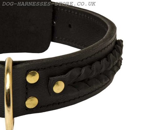 Extra Wide Dog Collar