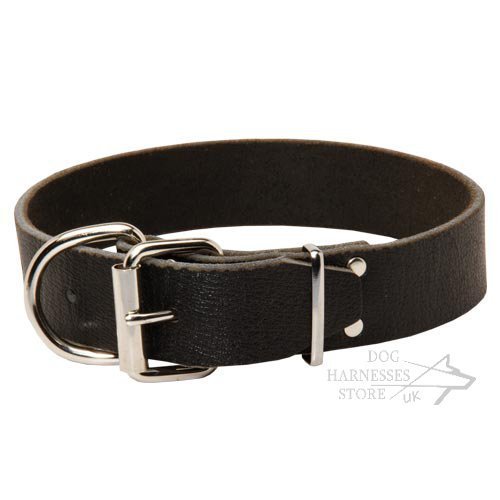 Wide Leather Dog Collars UK