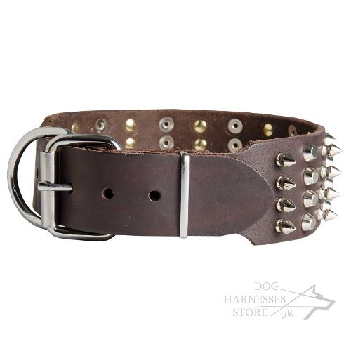 Wide Leather Dog Collars