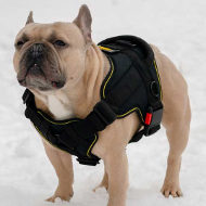 Dog Harness for French Bulldog, Use in Any Weather!