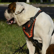 Padded Dog Harness for American Bulldog Flames Painted Leather