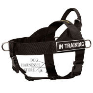 Nylon Dog Harnesses UK