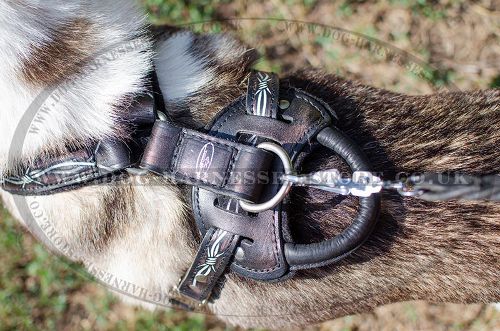 Handmade Dog Harness