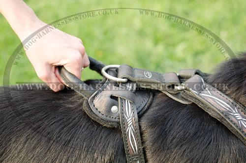 Dog Training Harness