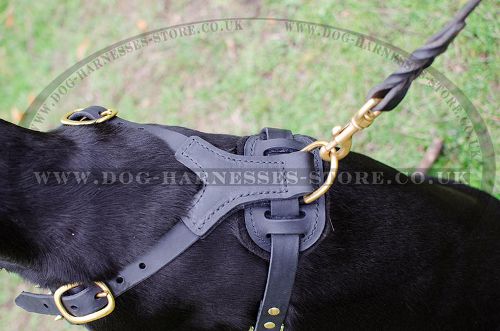 Leather Dog Harness