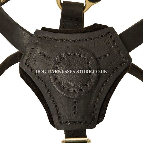 Small Dog Harness UK