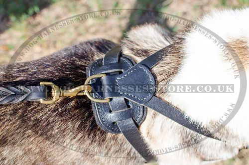 Dog Tracking Harness