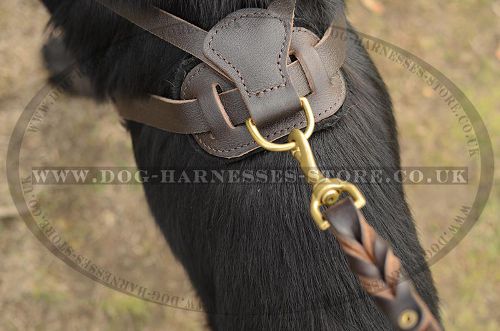 Leather Dog Harness UK