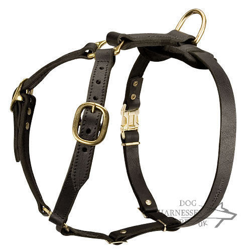 Strong Dog Harness UK