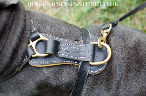 Mastiff Harness UK