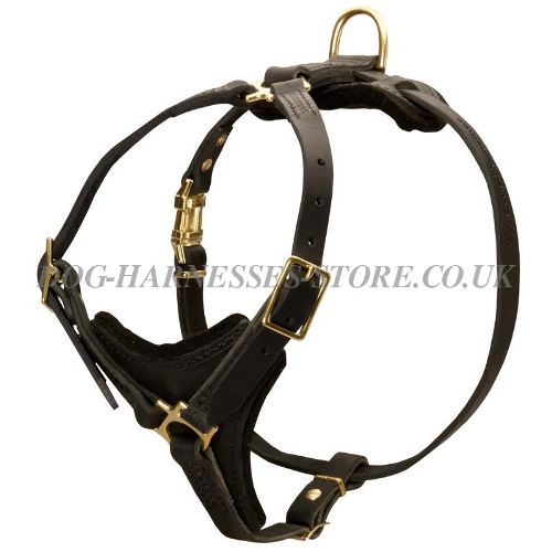 Leather Dog Harness UK