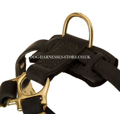 Leather Dog Harness