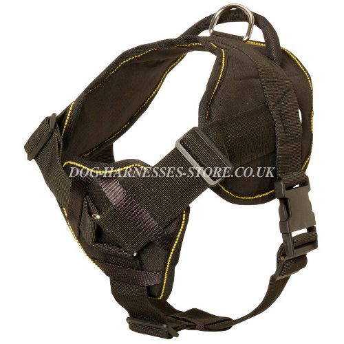 Neapolitan Mastiff Dog Harness