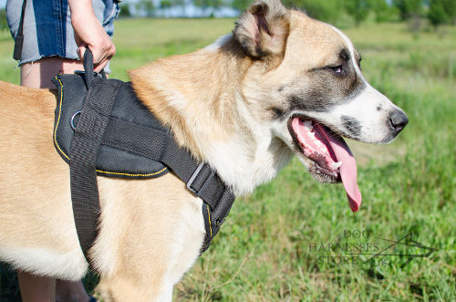 Strong Dog Harness