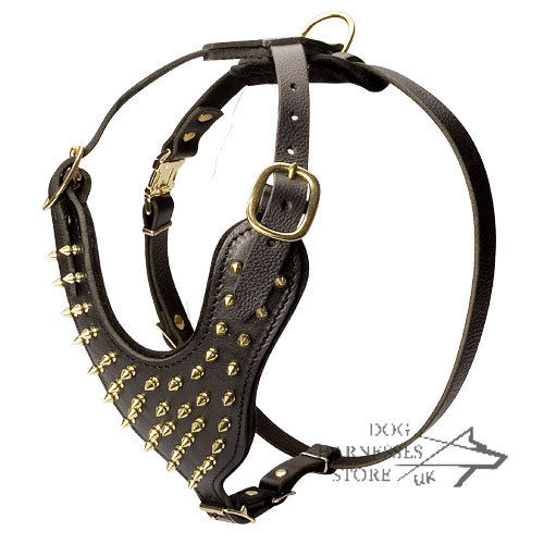 Leather Spiked Dog Harness