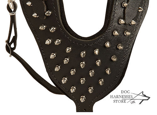 Spiked Leather Dog Harness