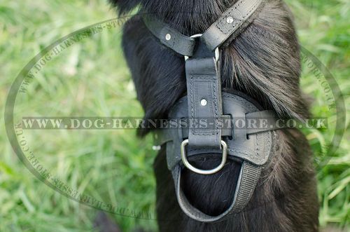 Dog Harness with Handle