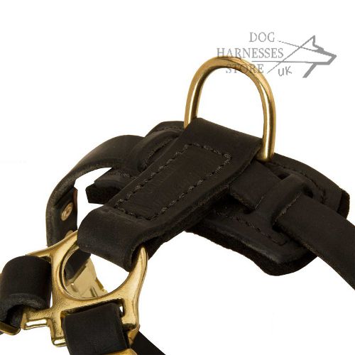 Little Dog Harness UK