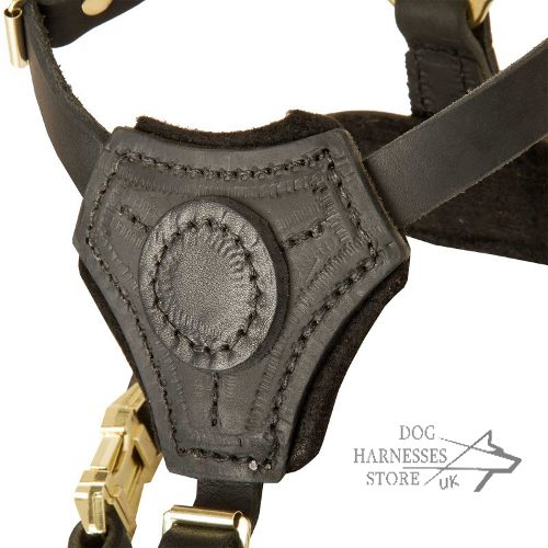 Small Dog Harness UK