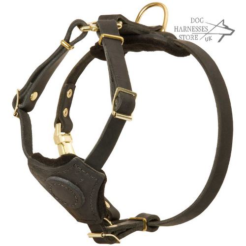 Small Dog Harness UK