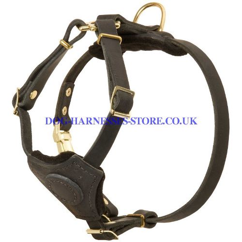 Little Dog Harness UK