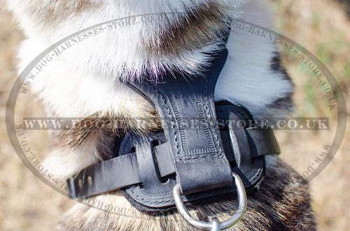 Strong Dog Harness