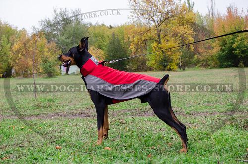 Nylon Dog Coat for Doberman