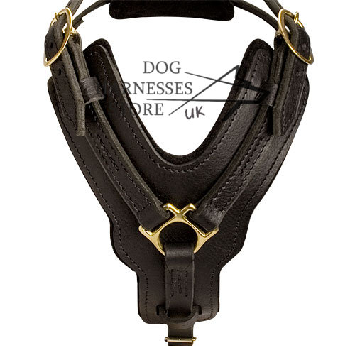 Padded Leather Dog Harness for Agitation Training