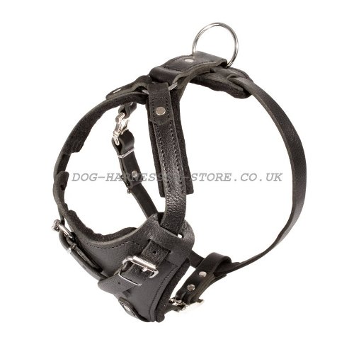 Agitation Dog Harness