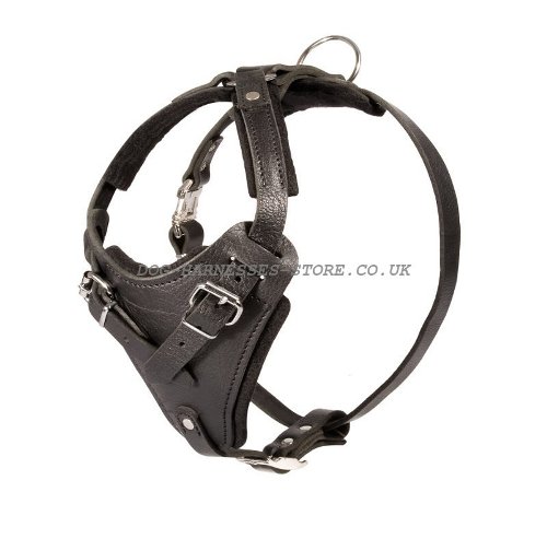 Black Russian Terrier Leather Harness
