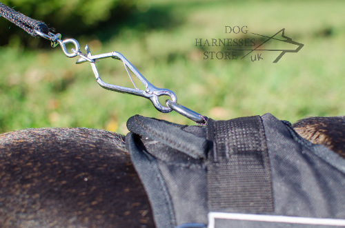 Reflective Dog Harness