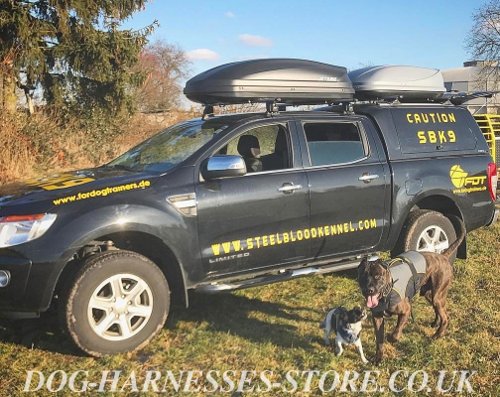 American Bandogge Mastiff Harness