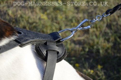 Dog Harness for American Bulldog UK