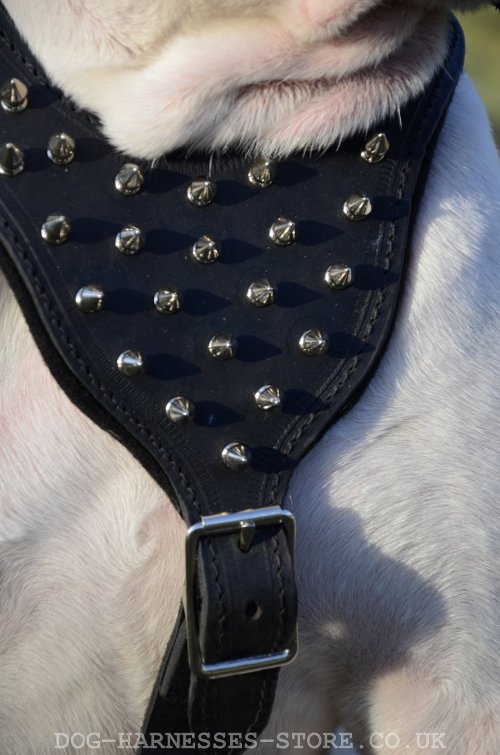 American Bulldog Harness for Sale UK